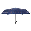 bear-navy blue