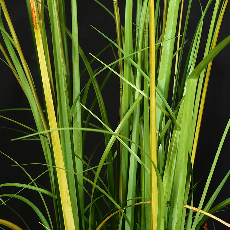 Kunststoff-Schilfgras Blume Innendekoration Knstliche Grne Fake-Pflanze  Schilfrohr Plantas Artificiales