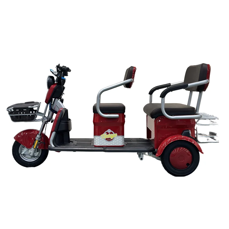Wheels Electric Bike Tricycle with Open Roof Scooter 48v Voltage