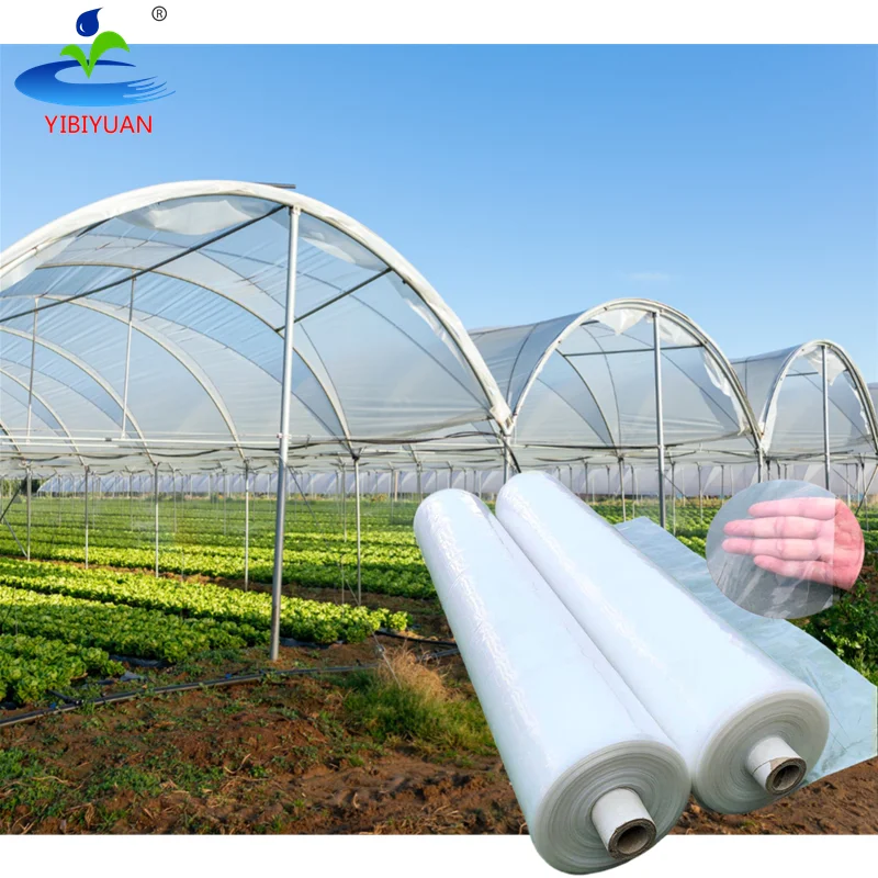Agriculture Film 6 Mil Polyethylene Plastic Sheeting for Polytunnel Greenhouse Cover Thin Plastic Film