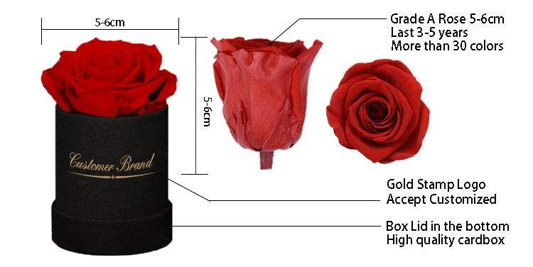 Permanent Roses Box Natural Rose Permanent Eternal Preserved Flower Rose Big Circle Round ...