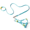 Conjunto azul