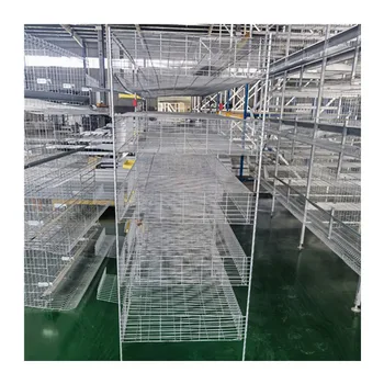 Design Poultry House Chicken Multifunctional Provided Layer Chicken Cage Shed Prefabricated Steel Structure Building Modern