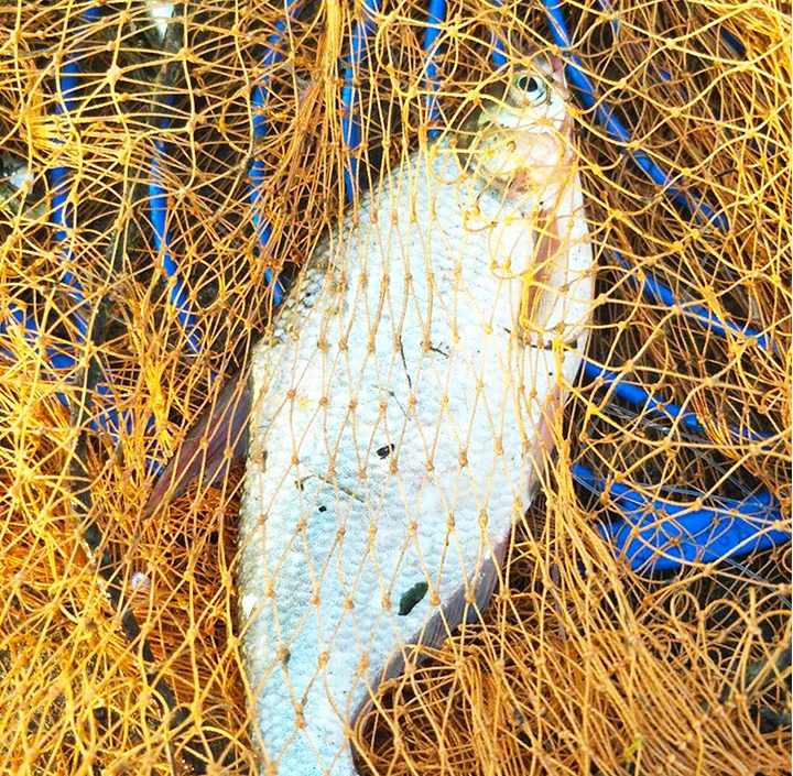 Manually cast fishing net / fishing net / ourdoor cast fishing net
