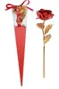 RED rose with red box
