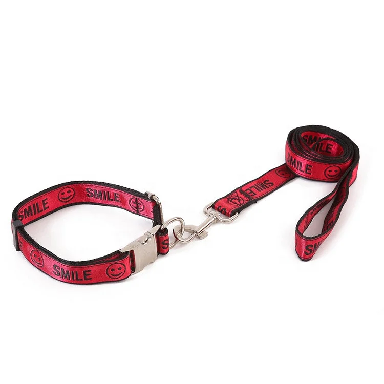 smart buckle dog collar