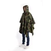 mimetizzazione