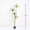 Miniature Agave Potted Plant 170cm