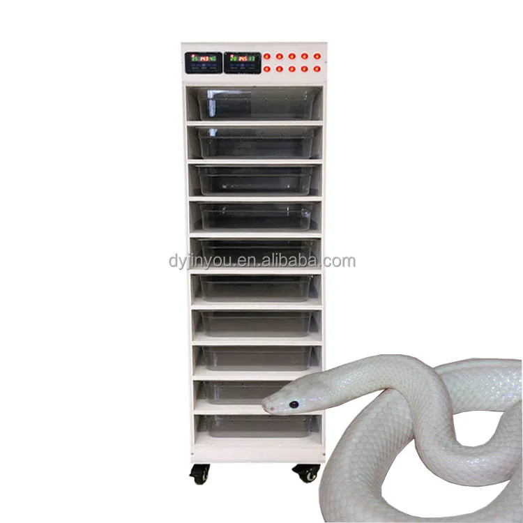 Wholesale Smart Pvc Popular Crawling Snake Rack Bathtub Shell Snake