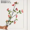 The small apples on the branches are deep red.