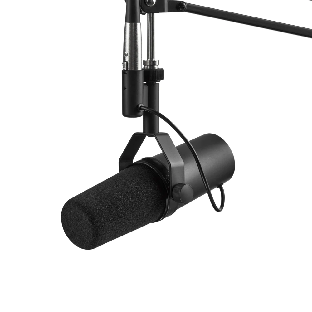 Popular Cardioid Studio Microphone Professional Dynamic Vocal Studio Broadcast XLR Conne aperçu 3