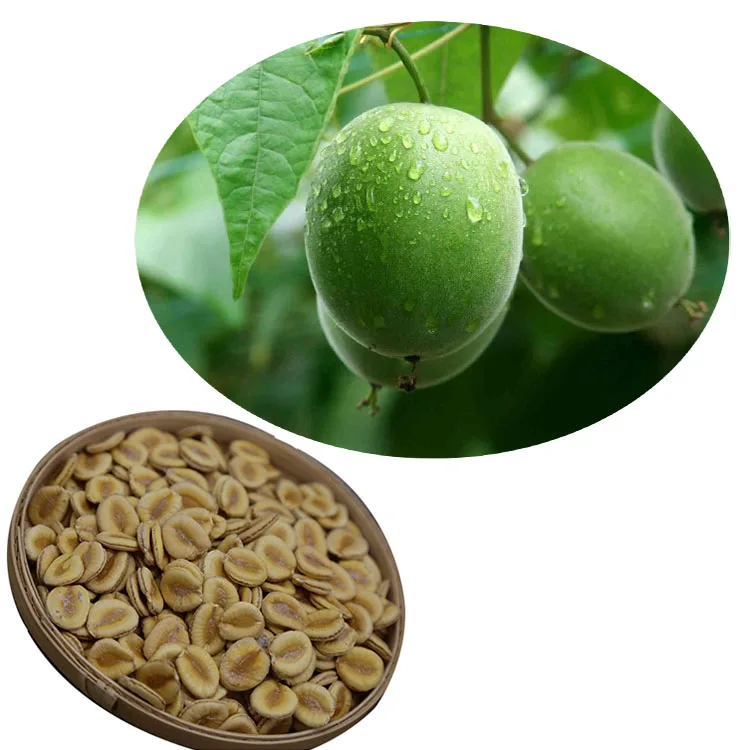 2020 Fresh luo han guo monk fruit seeds for planting