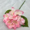 Rose foncé