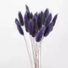 Couleur Gris Pourpre