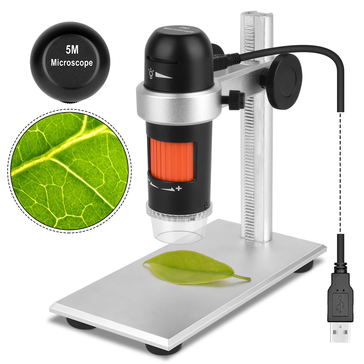 Wholesale Digital Microscope Driver 200x With Measuring Software m.alibaba.com