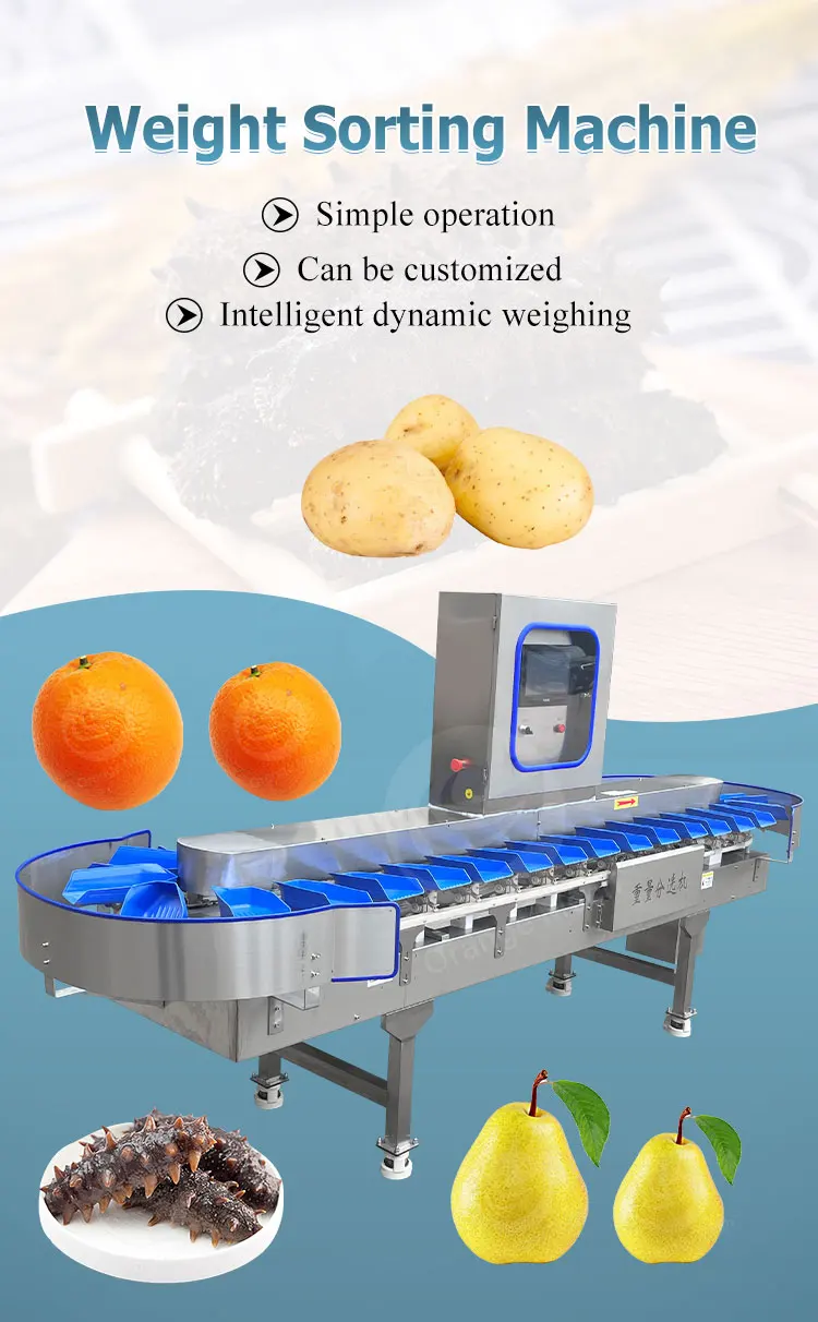 Orme Dried Anchovy Cucumber Citrus Small Weight Sort Machine Banana