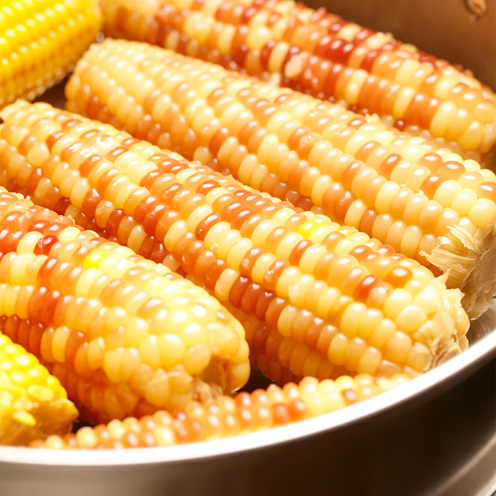 Boiled Ready to Eat Corn Maize Waxy Corn