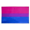 pride flag