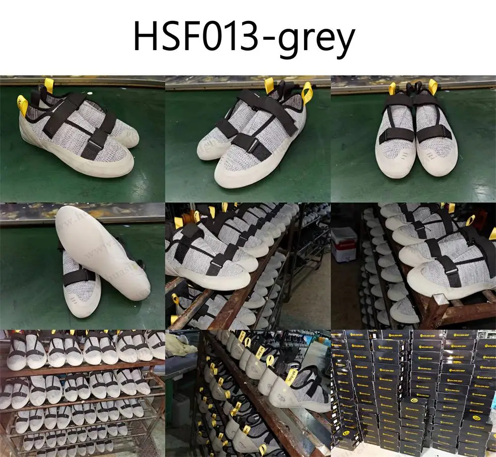 HSF013