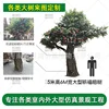 Enlace de depósito de árbol de banyan simulado de 5 m de alto y 6 m de ancho