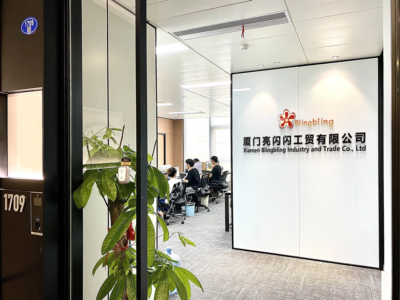 Xiamen Blingbling Industry And Trade Co., Ltd. 1