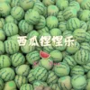 Watermelon Squishy Toy (Does Not Change Color)