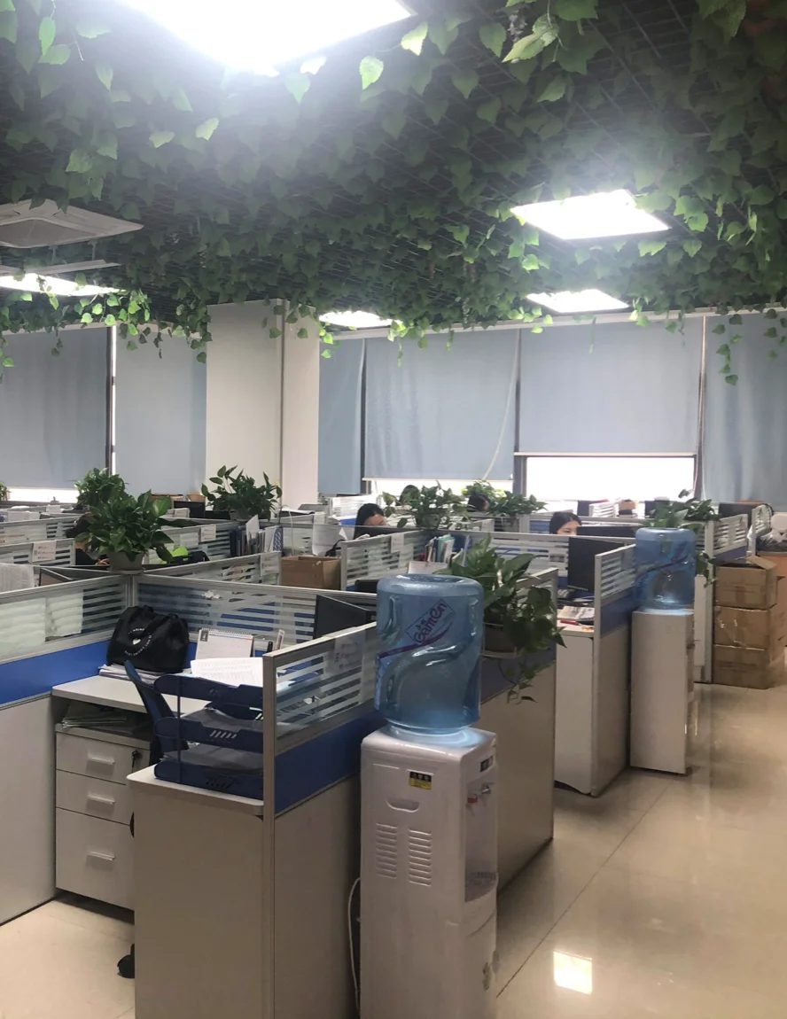 Shenzhen Desa Electronic Co., Ltd 1