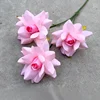 Amante sin hojas rosa rosa