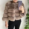 Light Camel