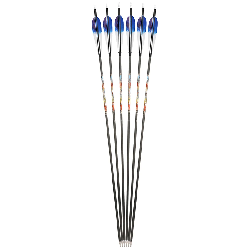 12pcs 30 tir à l'arc en fibre de verre flèches OD8mm SP500 F