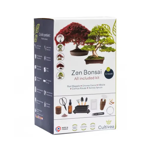 All-Inclusive-Set Realpetaled Zen Bonsai Starter Kit Japanisches Bonsai-T-Garten  Bonsai-Werkzeuge Mini-Pflanzset| Alibaba.com