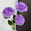 Violet foncé