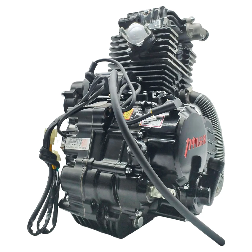 Quad ATV Tricycle De Haute Qualit Moteur 4 Temps 300CC CG300 