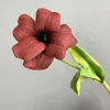 Pu abierto tulipán vino tinto