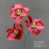 ดอกทิวลิป 3 มิติสีแดงหนึ่งดอก