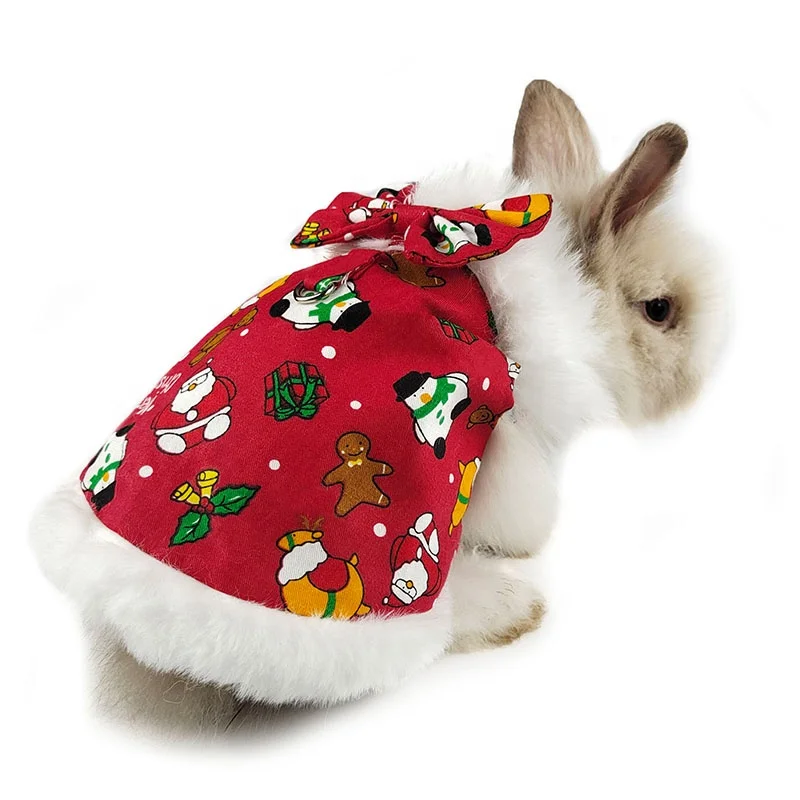 pet rabbit outfits