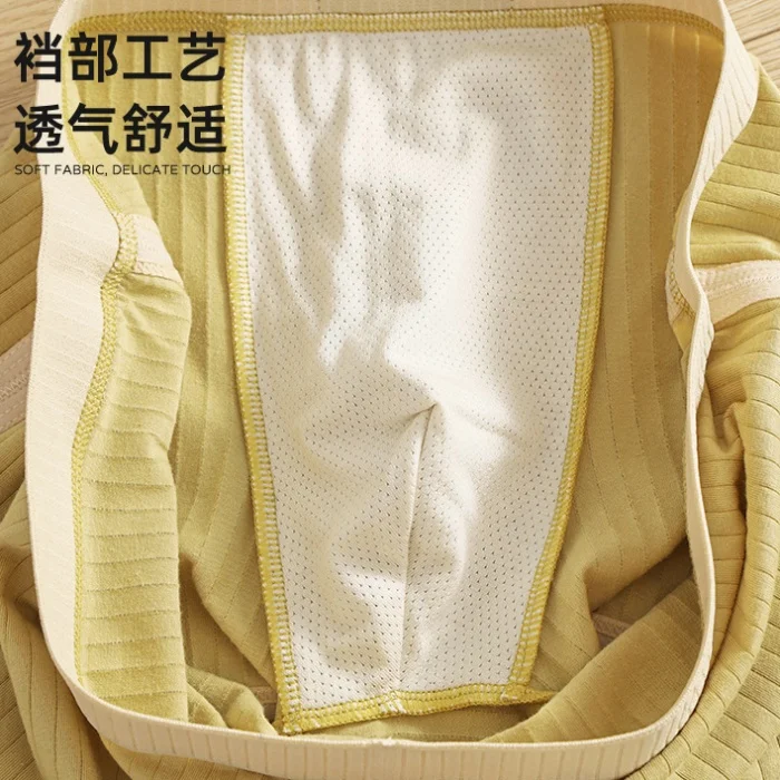 Men's Comfortable Breathable Boxer Briefs Underwear for Spring Summer Autumn Winter