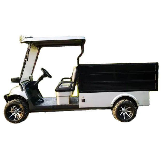 2024 Cheap Electric Golf Car Parison Electric Golf Cart  Utility Vehicle with 2 Seats and Cargo Box  2025SDZX12PTPR18201