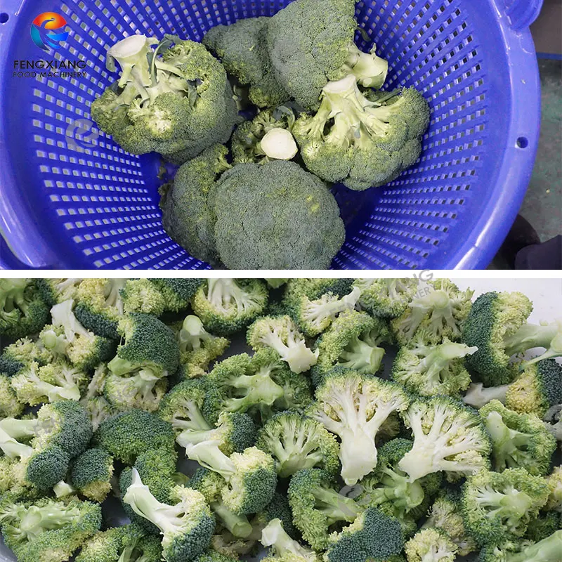 Automatic Vegetable Cutting Machine for Cauliflower & Broccoli Florets Motor As Core Component