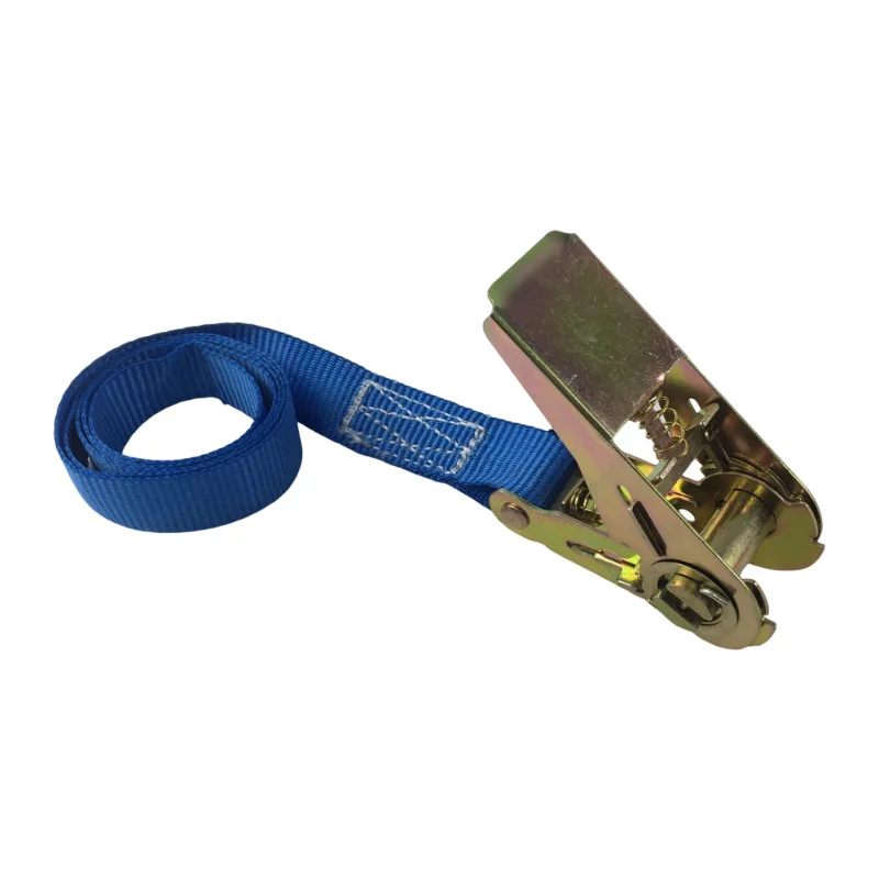 Polyester Ratchet Straps Kit with Cam Buckle J-Hooks Tie Down Tensioner for Container Lashing 10m Length Certified with GS