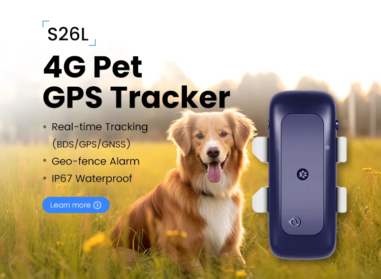 Smart Mini Cat Dog Collar Activity Monitoring Detection 4g Antilost Device Tracker Gps For Easy