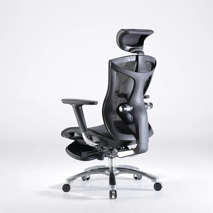 Sihoo Ergonomic Office Chair Luxury Ergonomic Office Chair Taiwan ...