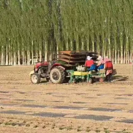 A Complete Set of Mechanized Transplanting Machine Taro Planting Machine Tube Laying and Film Covering Transplanting Machine