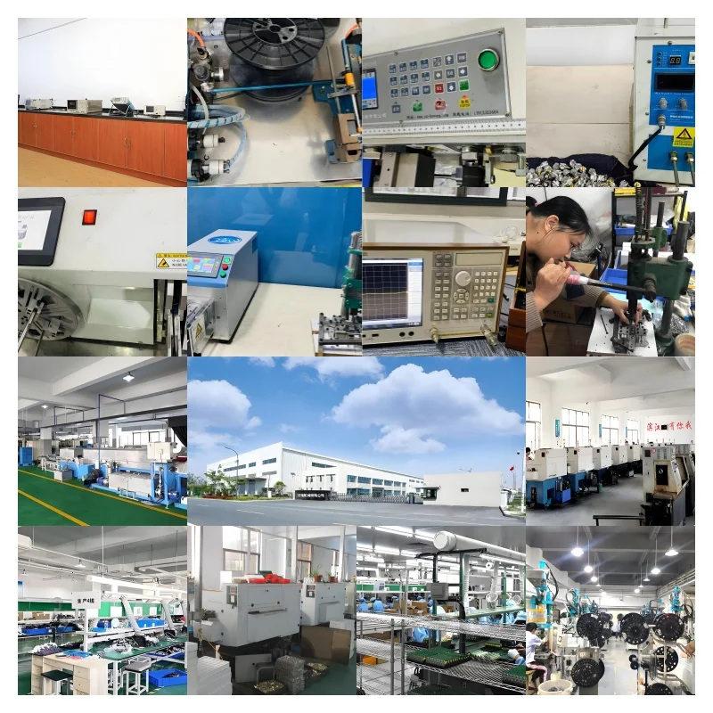 Company overview