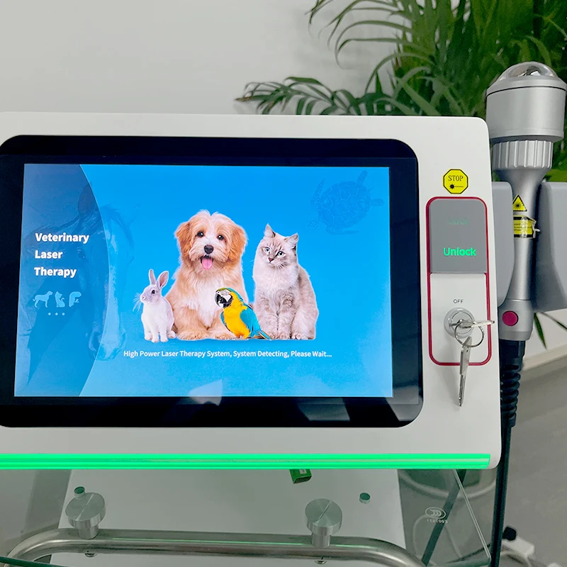 Class 4 Laser Therapy System of Veterinary Use Therapy Laser for Horse 810nm 980nm 1064nm High Power Laser Therapy Machine