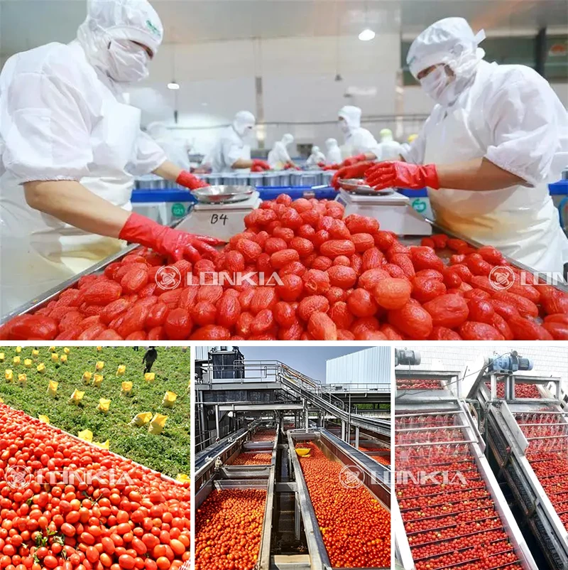 Tomato Processing Automatic Tomato Paste Canning Machine Tomato Canned Production Line ...