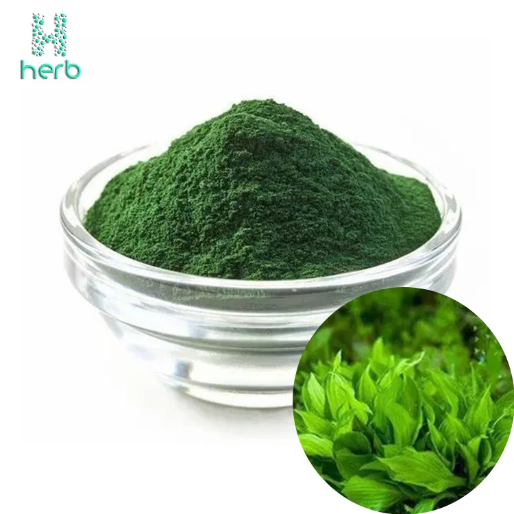 Wholesale Bulk 100 Pure Organic Green Food/feed Grade Spirulina Powder For Sale Buy Spirulina