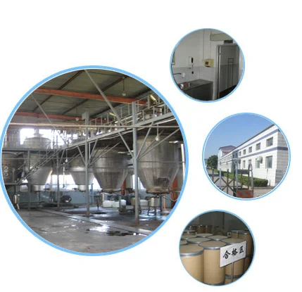 100% Natura Eurycoma Longifolia Extract Powder Tongkat Ali Root Specyfikacja 50:1 100:1 4