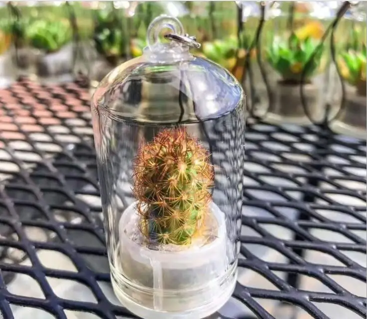 Мини-брелок для ключей с растениями