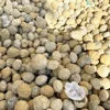 Geode